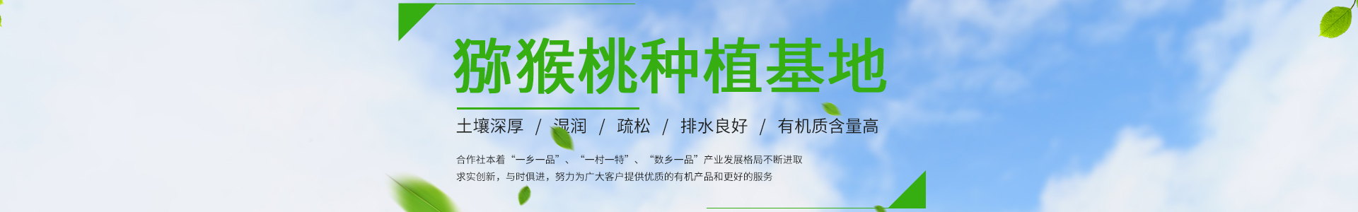 樂魚體育(中國)官方網站